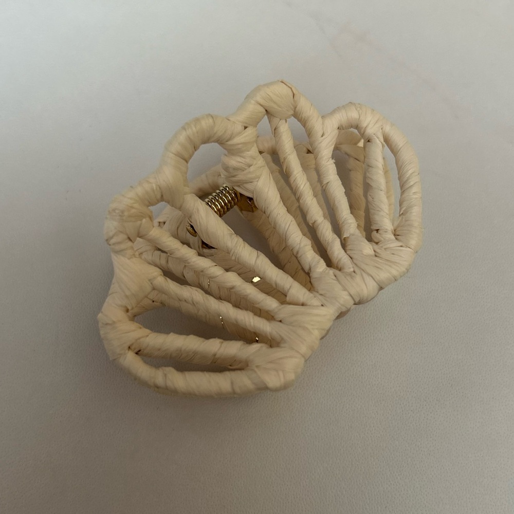 New J. Crew claw clip 🐚